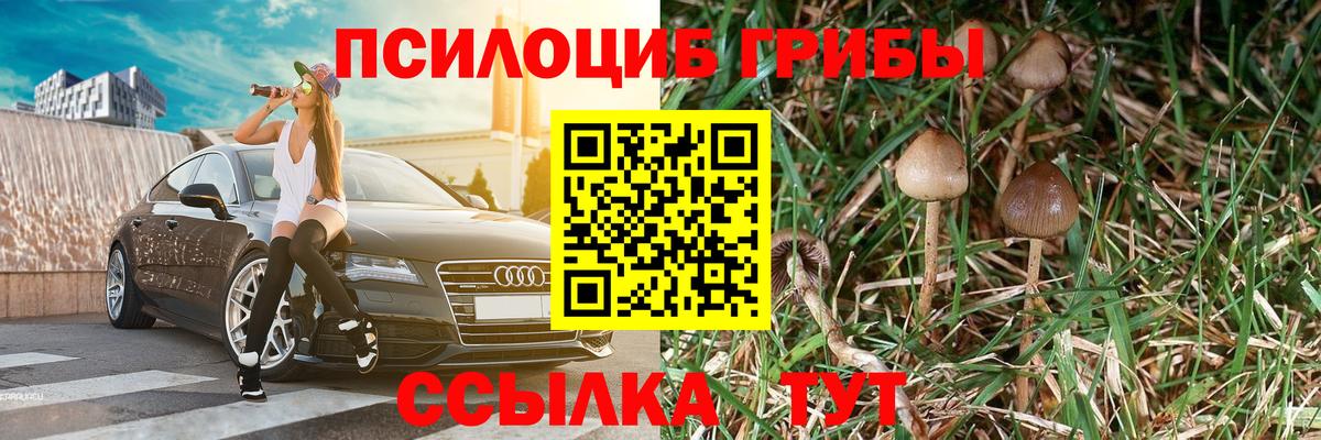 Галлюциногенные грибы мухоморы  Вход с VPN  Лосино-Петровский 